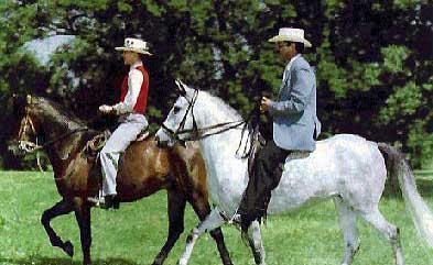 PASO FINO